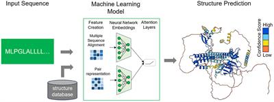 Challenges and limitations in computational prediction of protein misfolding in neurodegenerative diseases